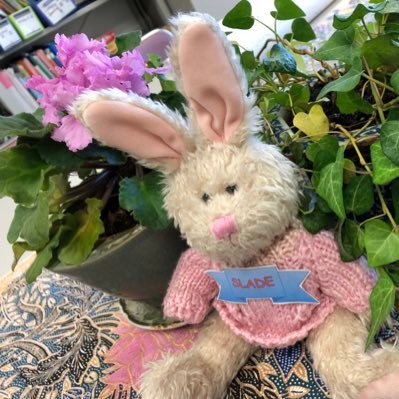 ohka_eigo's profile picture. #苦手な英語が好きになる #好きな英語が特技になる #英語で教養を学ぶ #ゴールは英語プラスアルファ #おうちで英語