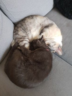 61pilets's profile picture. hier voor de leuk