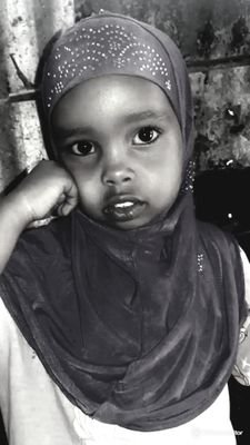 ShireAbdikadir's profile picture. abdikadir