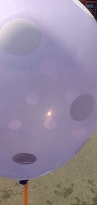 adhi_puguh's profile picture. man to woman