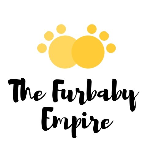 🐱 Online store + blog.
We love pets. Follow us for great fur baby content. Stay in the loop with The Furbaby Empire! 🐶