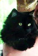 GLENDARENICK's profile picture. I'm a Realtor in Nashville, TN and also a Professional Interior Designer