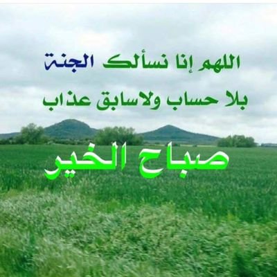 دليل البصر