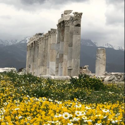 Kültür ve Turizm Bakanlığı, Kültür Varlıkları ve Müzeler Genel Müdürlüğü, Laodikeia Kazısı Başkanlığı hesabıdır. Kazı ile ilgili bilgilendirmeler yapılmaktadır.