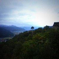 塩見佯 (@genyoutei) Twitter profile photo