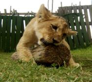 _Travel_Africa_'s profile picture. Inspiration for travel across Africa ~ no matter your adventure.