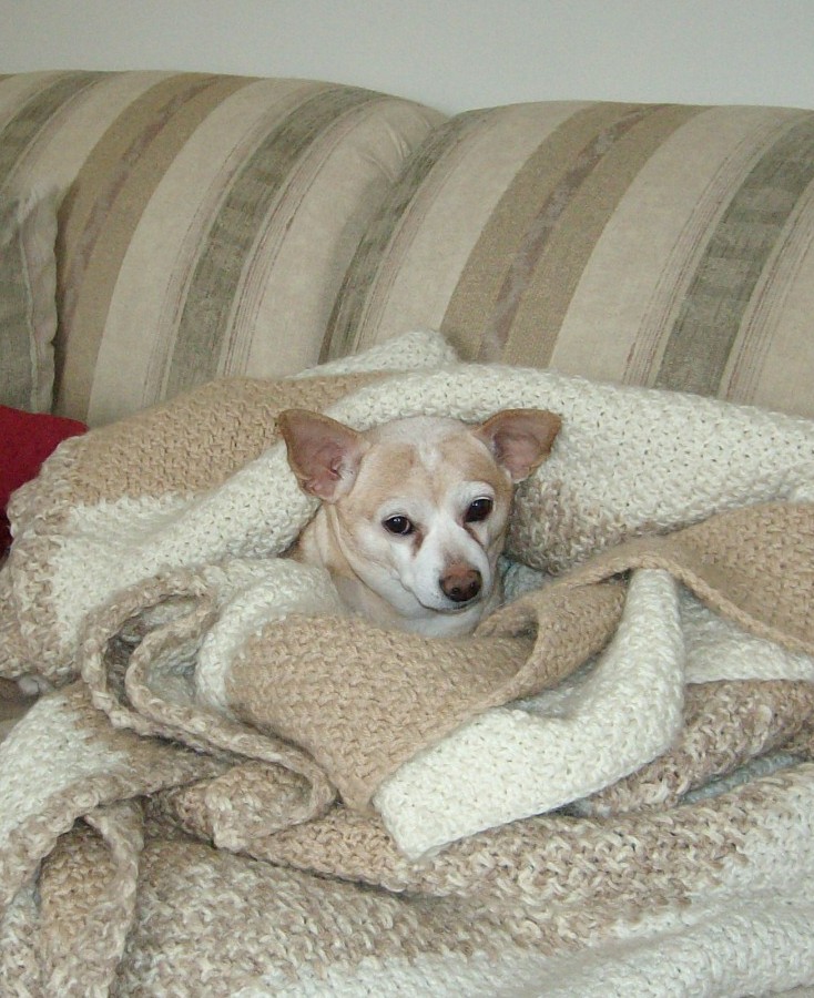 ivannsybil's profile picture. 