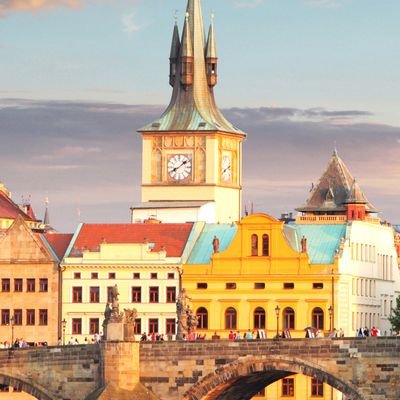 PaulineLtc's profile picture. 