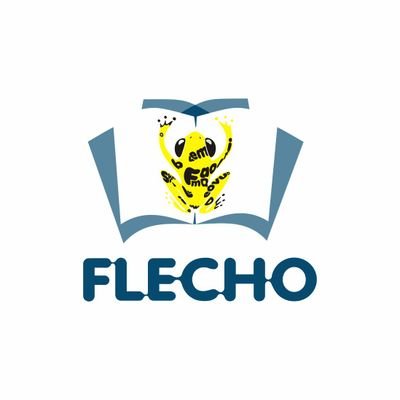 flecho_co Profile Picture