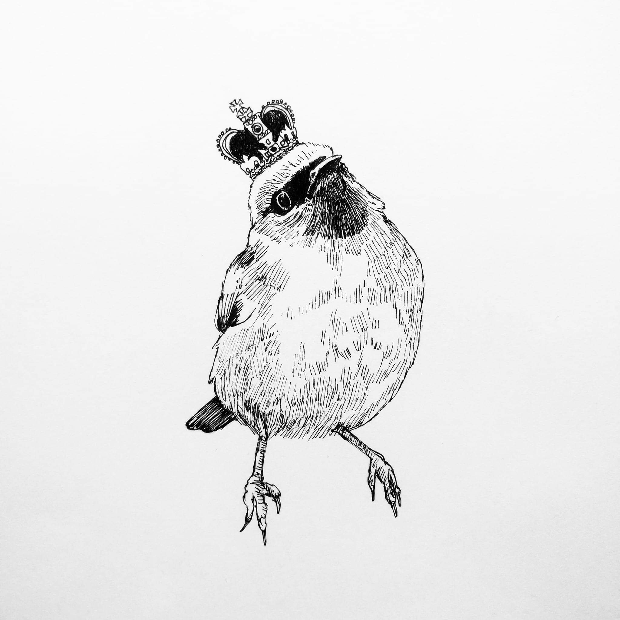 I draw in pen and adore bees                                Instagram @sophie_burnett_art