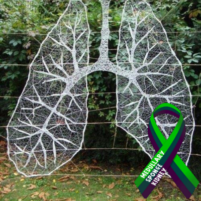 sanozan's profile picture. A lung transplant recipient, lover of Jesus Christ, wife, mother, grandmother of 4.  All opinions are my own.Followed by Lisa Boothe, Kevin Jackson & Rita Cosby