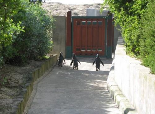 john_at_katybug's profile picture. 