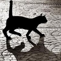 GNU/Legion (@itzala74) 's Twitter Profile Photo