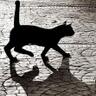 itzala74's profile picture. Una mente inquieta, en un eterno viaje por mares desconocidos. Linuxero-maquero. Usuario Arch. Sgdad Informatica y Hacking Ético. Análisis de Código (SAST-RAST)