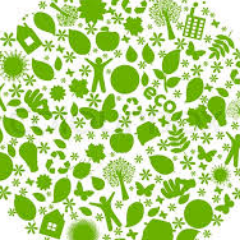 E-Coat Inc. is a safe, biodegradable insulation alternative with zero fiberglass