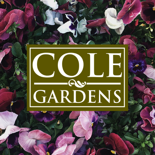 ColeGardens's profile picture. Decorate with Living Color