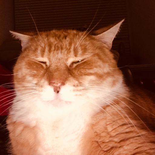 noonesfaster's profile picture. I don't like to cook.