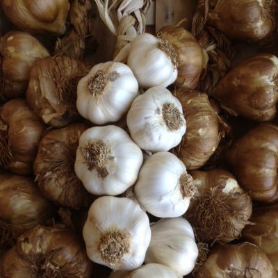 hutch_simon's profile picture. 