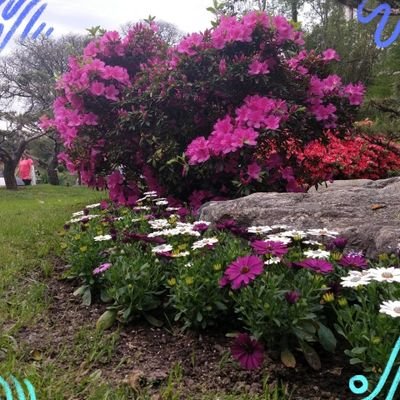 ajra010214's profile picture. 