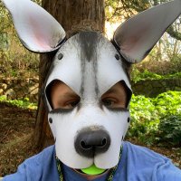 PupRex (Muscle Pup) (@puprex5) 's Twitter Profile