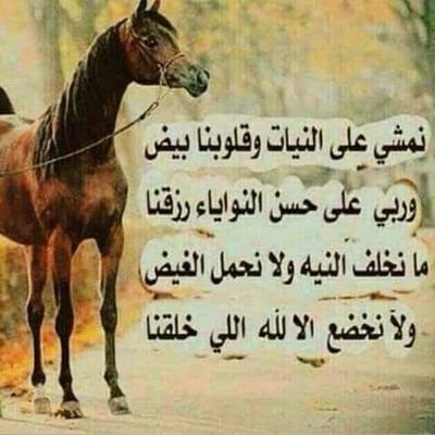 اللهم أصلح لي شأني كله ولا تكلني
الى نفسي طرفة عين