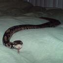 Eli Fine - @elifine - Twitter