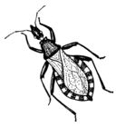 Marc Webster - @marcwebster - Twitter