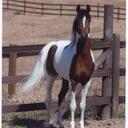 Marisa Cornejo - @Mcornejo1 - Twitter