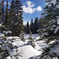 D. Walter Wray (@uvrlphysiology) 's Twitter Profile