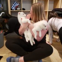 Erica MacDonald (@ecmd4) 's Twitter Profile