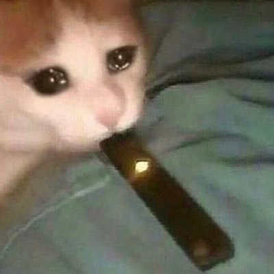 hornnynigga's profile picture. Memes n shit