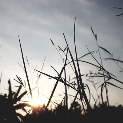 istillloveyouf's profile picture. twitter for feeling in today⚡