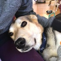 Eric Brown (@jayhawk0824) 's Twitter Profile