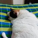 Lorena angel - @Lorenaa11664307 - Twitter