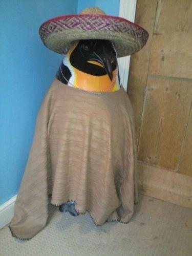 ChrisZelos's profile picture. Random, weird, strange and possibly nuts (Although I have a note from the doctors to say otherwise!) Now working in phone and sky sales for business and home