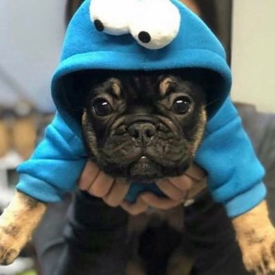 1ALXQEuwS65cXB3's profile picture. バス釣り🎣ゴルフを愛する不動産業経営🏢🏠京田辺、樟葉のお得な情報ほしい〜〜ヽ(・∀・)ﾉ