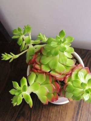 kathia38708697's profile picture. Self Business@Mind