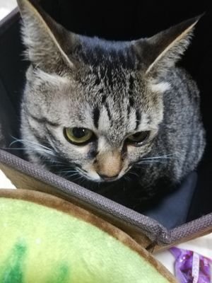 成人済20↑