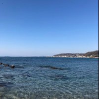 shimba.6 (@shimba_6) Twitter profile photo