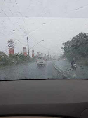 Dockdick3's profile picture. just for fun