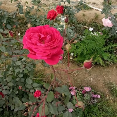 Nishant07840957's profile picture. 