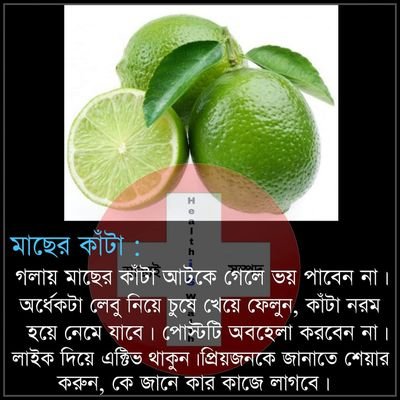 Sujan52731515's profile picture. dibid