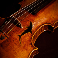 Colgan Orchestra (@colganorchestra) 's Twitter Profile Photo Colgan Orchestra (@colganorchestra) 's Twitter Profile Photo