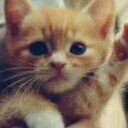 Veroveraar1's profile picture. Soy Veroveraar, una persona bromista y graciosa, me interesa la política y la historia.