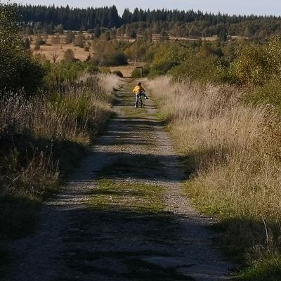 sqlzen77's profile picture. 