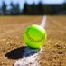 WY_Softball (@softballwy) Twitter profile photo WY_Softball (@softballwy) Twitter profile photo