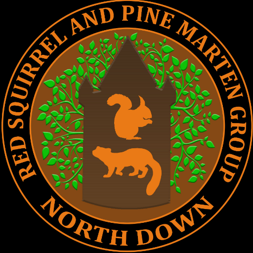 Conservation group dedicated to protection of red squirrels and pine marten across North Down. Want to help - get in touch!

Facebook @NDRedSquirrelPineMarten
