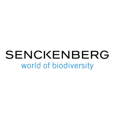 Tweets by @Senckenberg Science + Research Communication team; member of @LeibnizWGL; #Geobiodiversity #Biodiversity; RT ≠ endorsements; formerly @bik_f_-account
