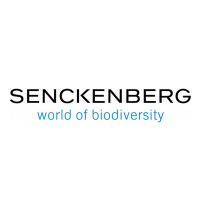 Senckenberg Research(@geobiodiversity) 's Twitter Profileg