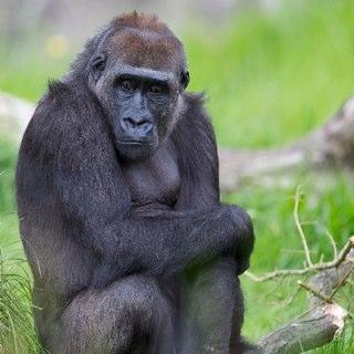 Bitesizebits's profile picture. Old enough to know better, young enough not to care!